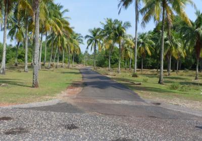 Cherok Sebelum02