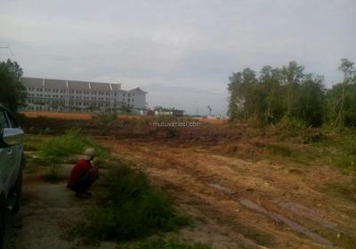 Bunut Sebelum01