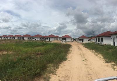 Bunut Sebelum07
