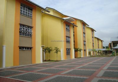 Belukar03