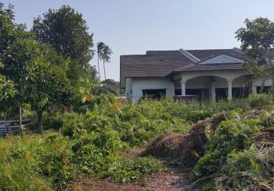 Tradisi Indah Sebelum03