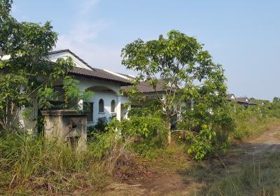 Tradisi Indah Sebelum05